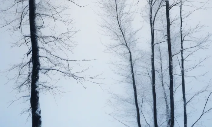 Památník Jana Žižky z Trocnova – winter