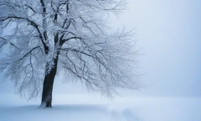Památník obětí druhé světové války v Javoříčku – winter
