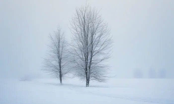 Památník Velké Moravy – winter