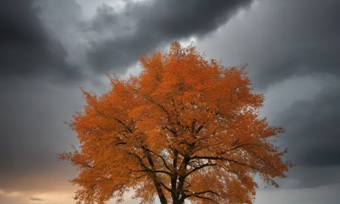 Panenský Týnec – autumn