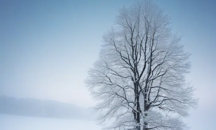 Park Budoucnost – winter