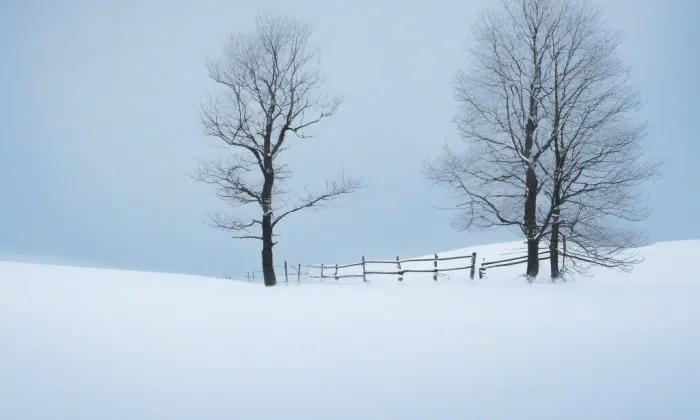 Park Jiřiny Haukové a Jindřicha Chalupeckého – winter
