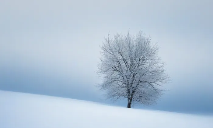 Park Michalov – winter