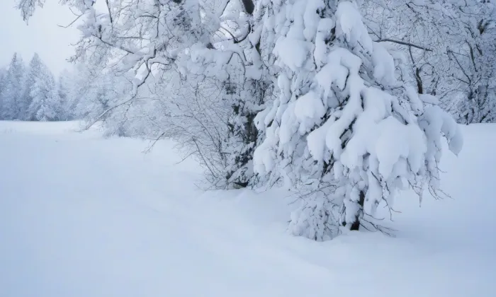 Park Sacré Coeur – winter