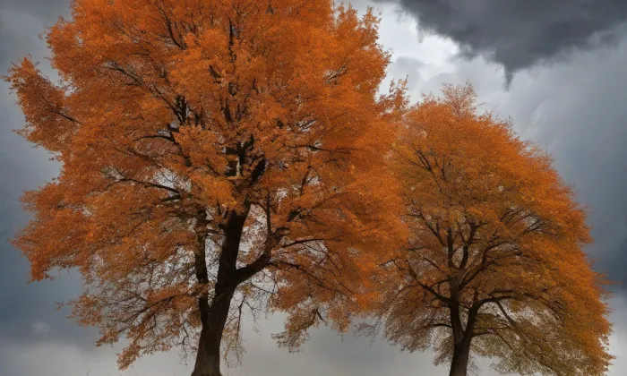 Petrášův palác – autumn