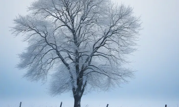 Pořešín – winter