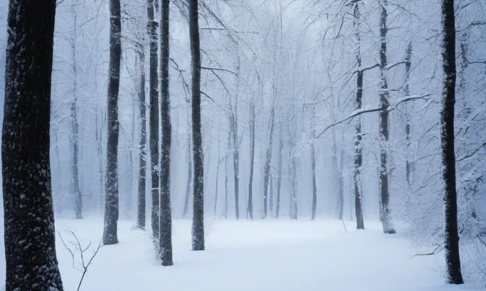 Poštovní – winter