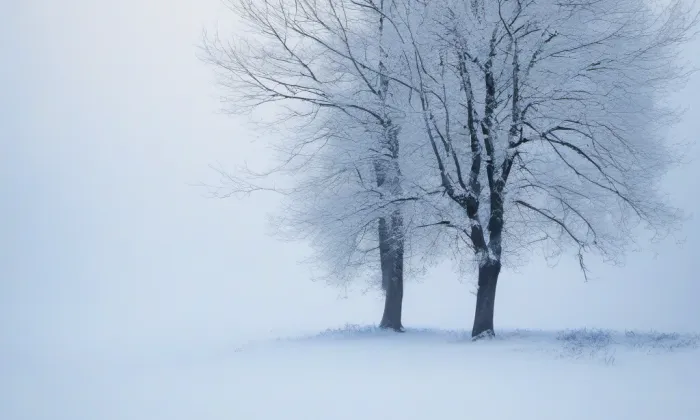 pohřební kaple Auerspergů ve Vlašimi – winter