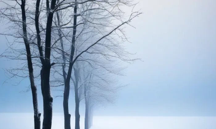 Pokorného – winter