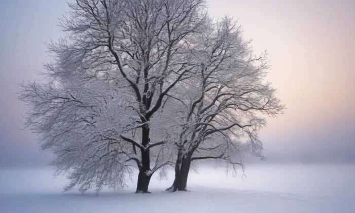 Pole – winter