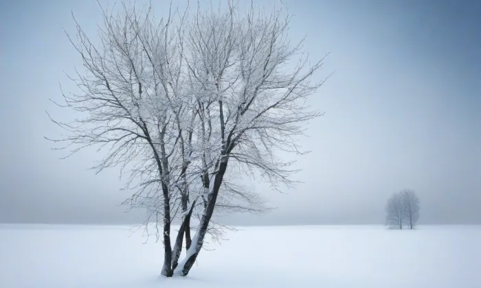 Politických vězňů – winter