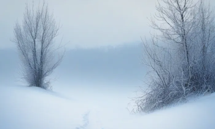 pomník Jiřího z Poděbrad – winter