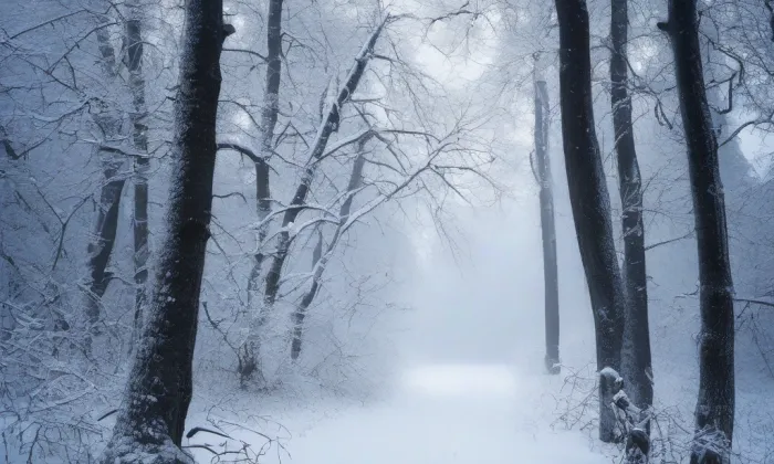 Pomník Julia Zeyera – winter