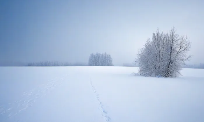 Pražský hrad – winter
