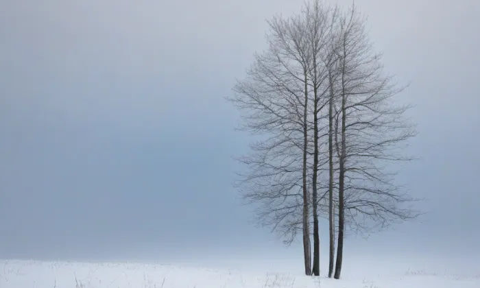 Pravoslavný chrám svatého Cyrila a Metoděje v Praze – winter