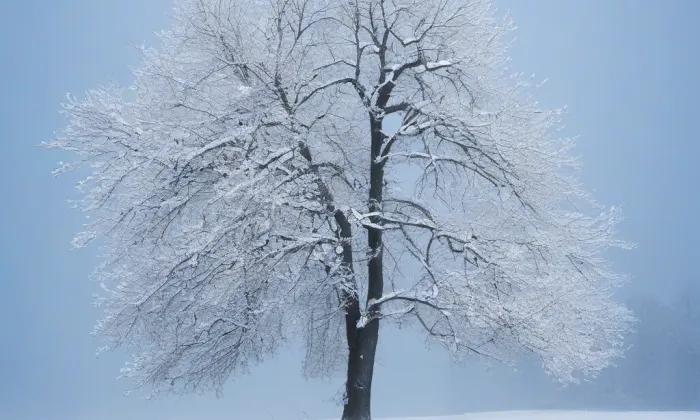 Provaznická – winter