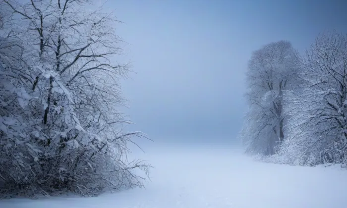 Rájec nad Svitavou – winter