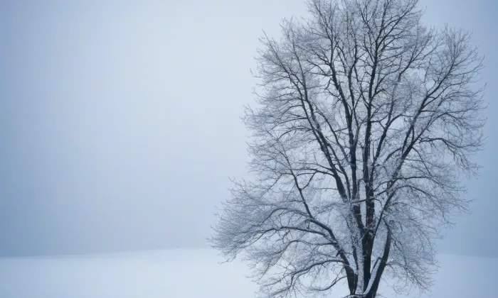 Rámová – winter