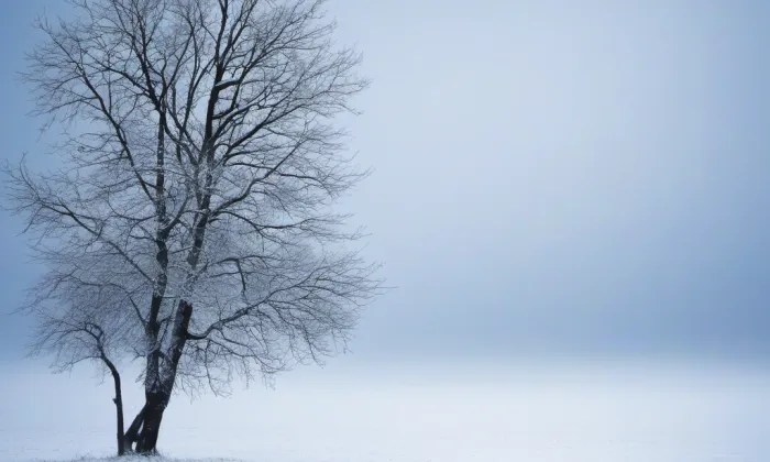 Radnice – winter