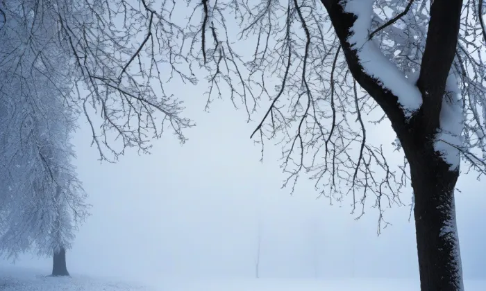Radnické schody – winter