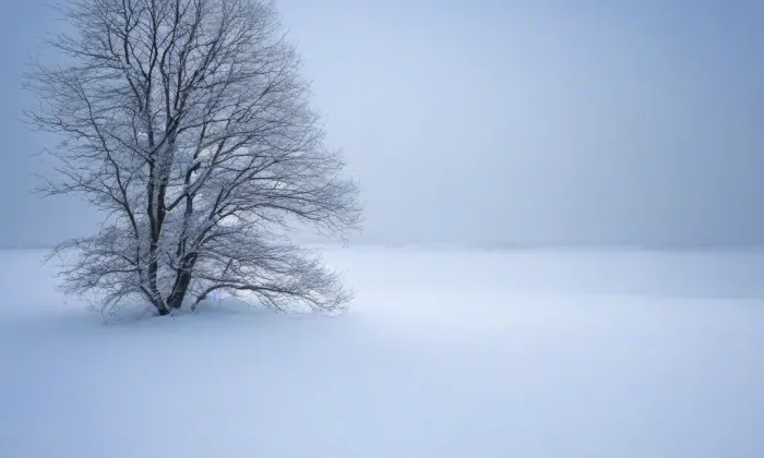 Regionální muzeum K. A. Polánka v Žatci – winter