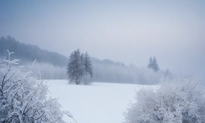 Rožmberk (Rožmberk nad Vltavou) – winter
