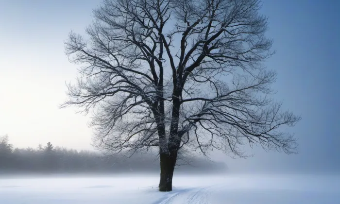Rohanské nábřeží – winter