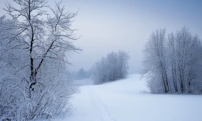 Rokycanův sbor – winter