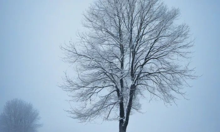 Rotunda svatého Petra a Pavla (Starý Plzenec) – winter