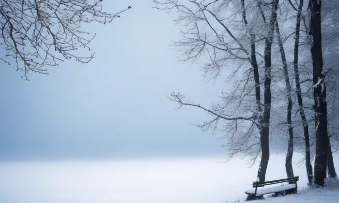 Rotunda svatého Víta – winter
