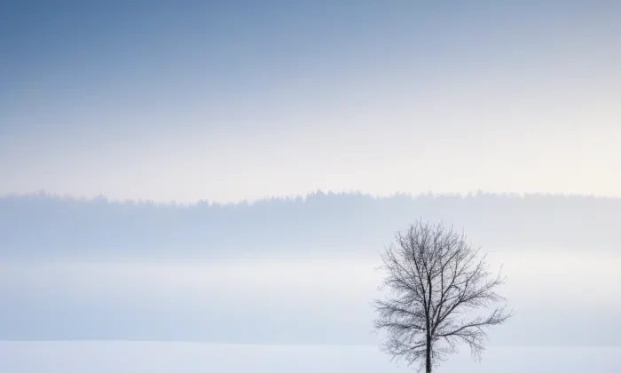 rozvodna Řeporyje – winter