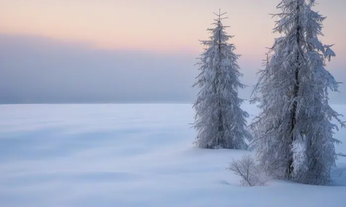 rozvodna Babylon – winter
