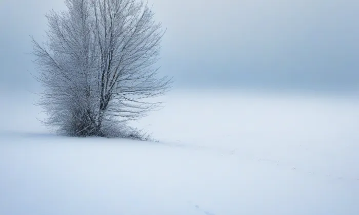 rozvodna Bezděčín – winter