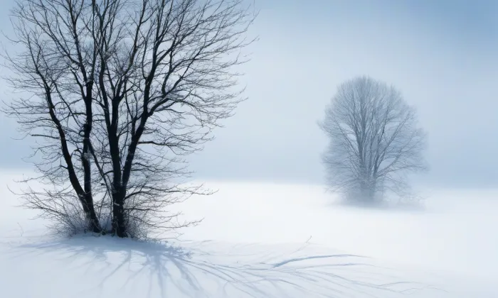 rozvodna Hradec – winter