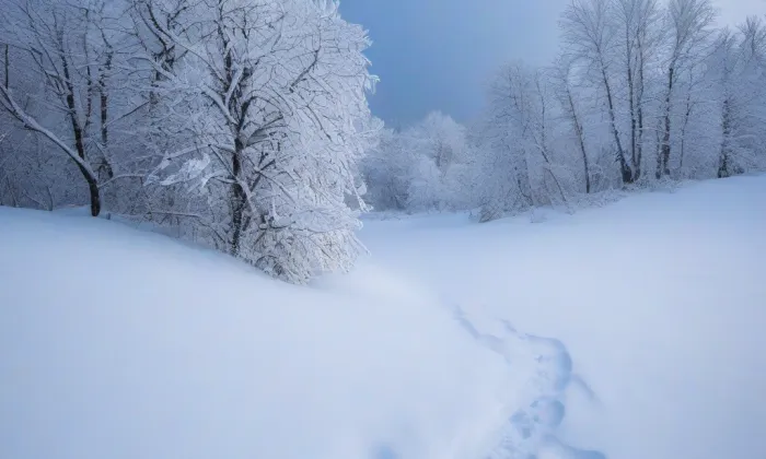 rozvodna Kočín – winter