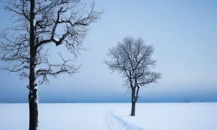 rozvodna Lískovec – winter