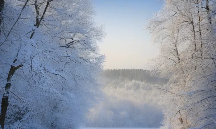 rozvodna Týnec – winter