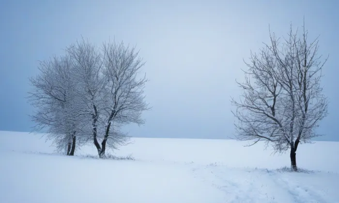 rozvodna Vernéřov – winter