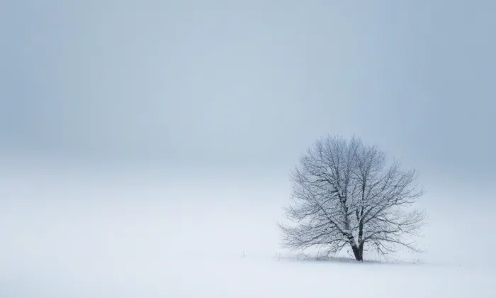 Sad Dr. Milady Horákové – winter