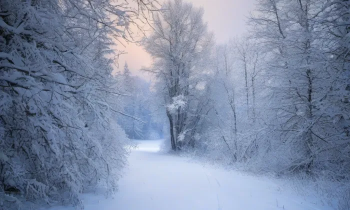 Sady Architekta Lisky – winter