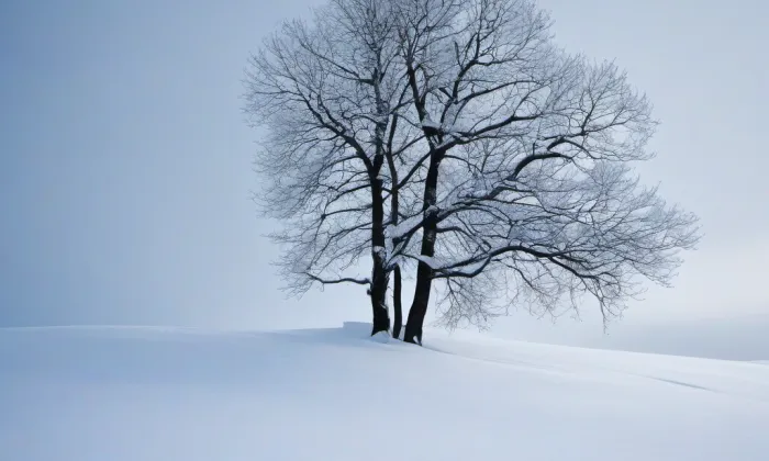 Salmovský palác – winter