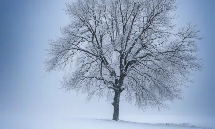 Sbor Církve československé husitské – winter