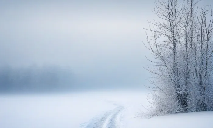 sbor Dr. Karla Farského (Kuřim) – winter