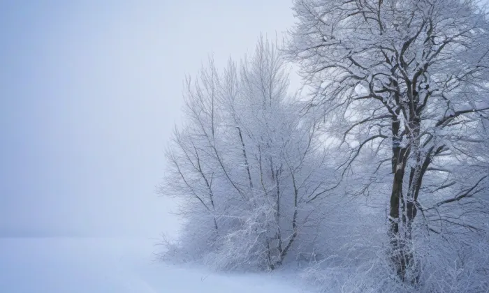 Sbor Páně – winter