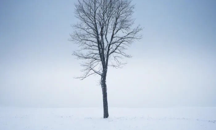 Sextant Erasma Habermela – winter