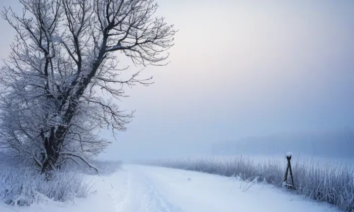 silniční most přes Labe mezi Valy a Mělicemi – winter