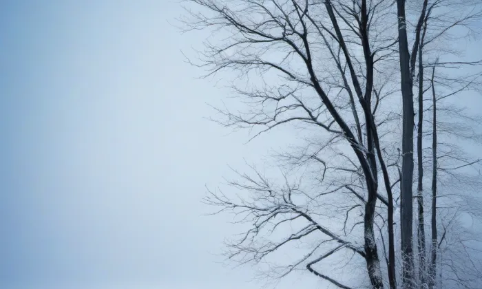 Slatinka – winter