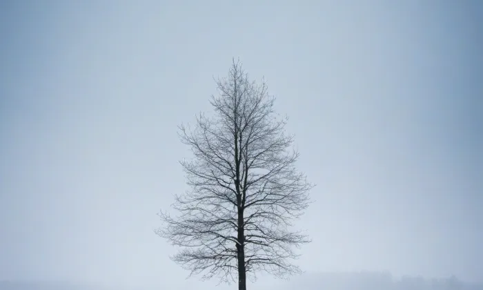 Slavná lázeňská města Evropy – winter