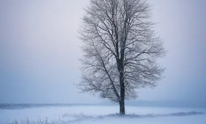 Sloup Nejsvětější Trojice – winter