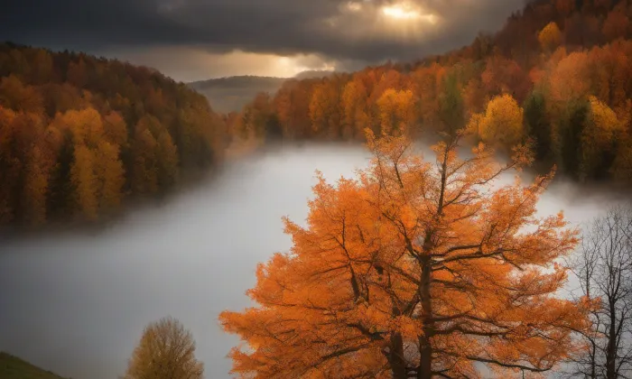 Smetanovy sady (Olomouc) – autumn